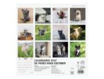 Finocam Gatitos Calendario de Pared - 16 Meses 26/27 - Mes Vista - 300x300mm - Papel de 170g/m2 - Imagenes Tematicas Surtidas - Espacio para Notas - immagine 3