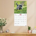 Finocam Gatitos Calendario de Pared - 16 Meses 26/27 - Mes Vista - 300x300mm - Papel de 170g/m2 - Imagenes Tematicas Surtidas - Espacio para Notas - immagine 4