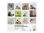 Finocam Perros y Gatos Calendario de Pared - 16 Meses 26/27 - Mes Vista - 300x300mm - Papel de 170g/m2 - Imagenes Tematicas Surtidas - Espacio para Notas - immagine 3