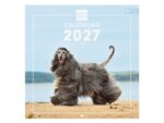 Finocam Dogs Calendario de Pared Internacional - 16 Meses 26/27 - Mes Vista - 300x300mm - Papel de 170g/m2 - Imagenes Tematicas Surtidas - Espacio para Notas - Multilenguaje