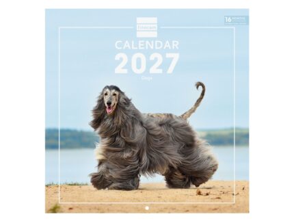 Finocam Dogs Calendario de Pared Internacional - 16 Meses 26/27 - Mes Vista - 300x300mm - Papel de 170g/m2 - Imagenes Tematicas Surtidas - Espacio para Notas - Multilenguaje