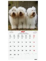Finocam Dogs Calendario de Pared Internacional - 16 Meses 26/27 - Mes Vista - 300x300mm - Papel de 170g/m2 - Imagenes Tematicas Surtidas - Espacio para Notas - Multilenguaje - immagine 2