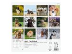 Finocam Dogs Calendario de Pared Internacional - 16 Meses 26/27 - Mes Vista - 300x300mm - Papel de 170g/m2 - Imagenes Tematicas Surtidas - Espacio para Notas - Multilenguaje - immagine 3