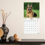 Finocam Dogs Calendario de Pared Internacional - 16 Meses 26/27 - Mes Vista - 300x300mm - Papel de 170g/m2 - Imagenes Tematicas Surtidas - Espacio para Notas - Multilenguaje - immagine 4