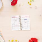 Finocam Trendy Design Collection Ahora Agenda - Anual 2027 - Semana Vista Horizontal - Formato E3 - 79x127mm - Espiral - Tapa de Polipropileno - Esquinas Microperforadas - Papel de 80g/m2 - Multicolor - immagine 4