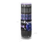 ErichKrause Black Unicorn Matita a grafite - Miniera HB - Corpo rotondo - Impugnatura ergonomica - Colori assortiti - immagine 3