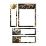 ErichKrause Big City Cats Confezione da 4 blocchi da 20 segnalibri - Riposizionabili - Carta da 75 g/m² - 3 formati diversi - Colori assortiti - immagine 2